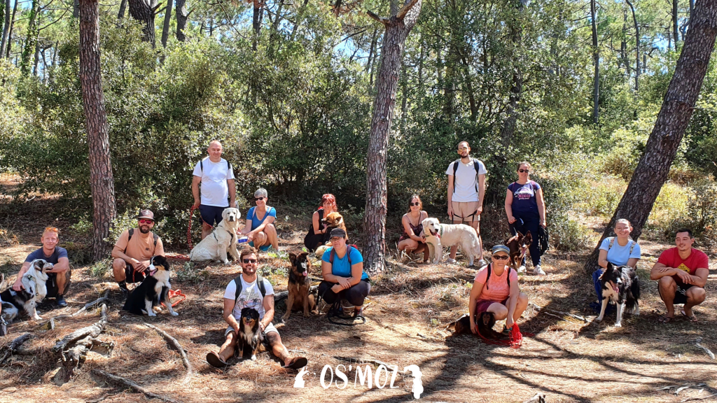 site internet pour les éducateurs canins site internet pour les éducateurs canins