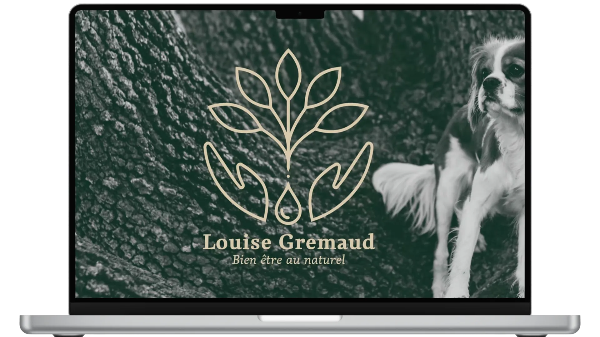 ariane-image-marque (4)