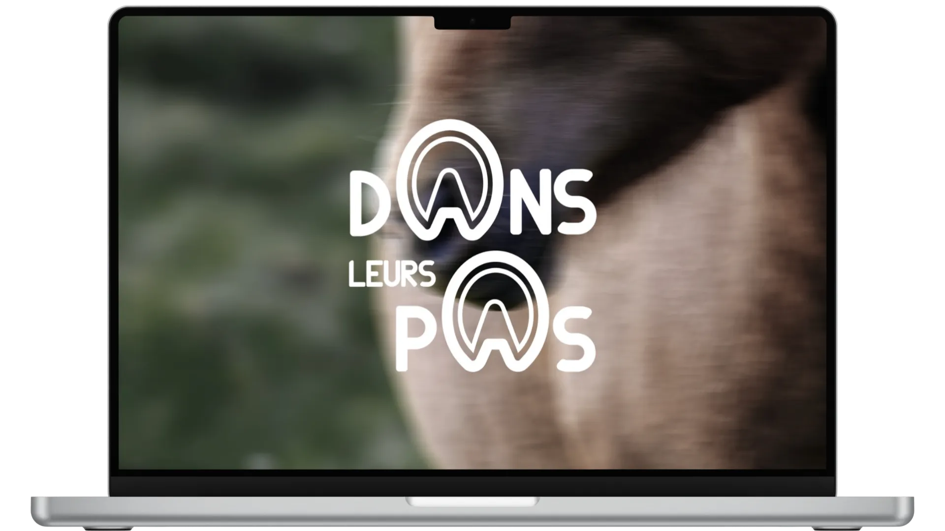 ariane-image-marque (5)