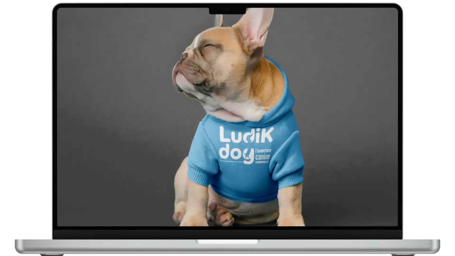 ariane-image-marque (6)