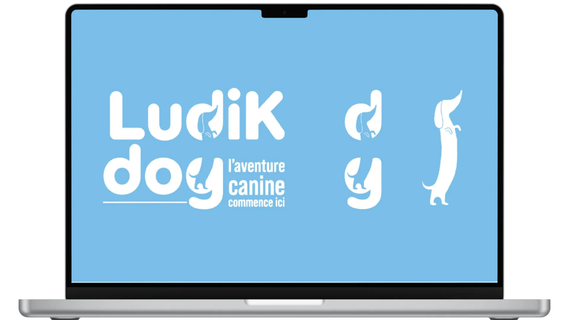 ariane-image-marque (7)